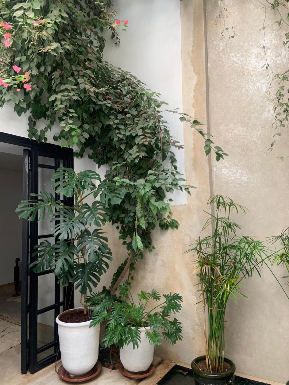 Le Petit Pacha Hotel Маракеш Екстериор снимка