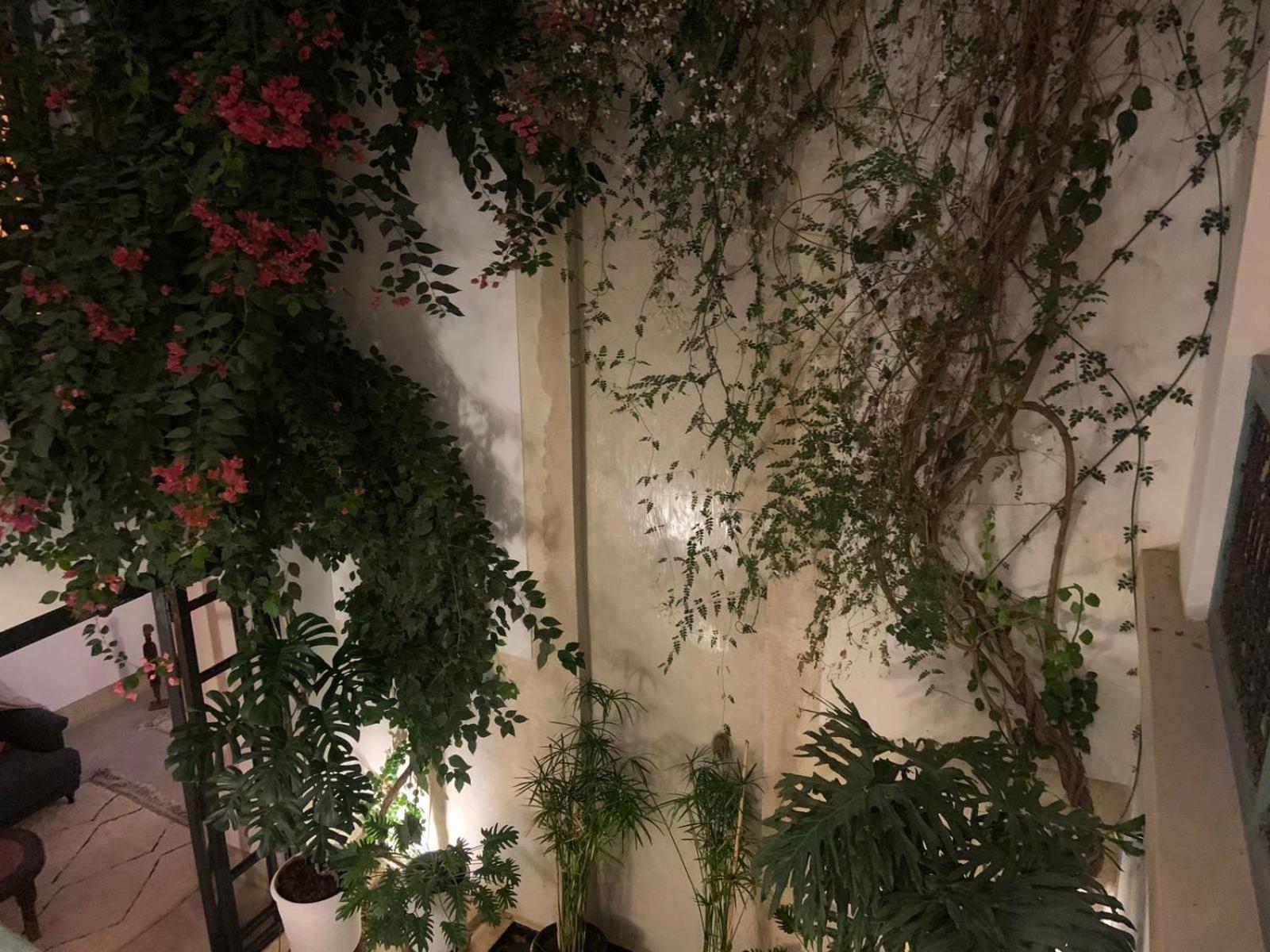Le Petit Pacha Hotel Маракеш Екстериор снимка